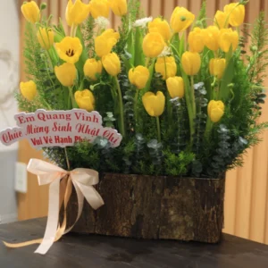 Lẵng hoa tulip vàng 30 bông