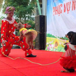 dich vu ao thuat bieu dien xiec cho 2
