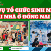 Dịch vụ tổ chức sinh nhật cho bé ở Đồng nai trọn gói