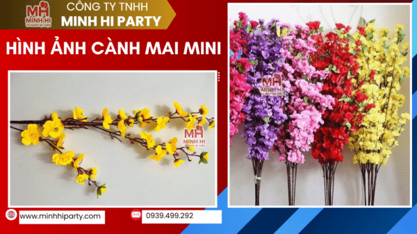 Cung cấp cành mai mini giá rẻ