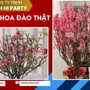 Hoa đào phụ kiện trang trí tết tại Minh Hi Party