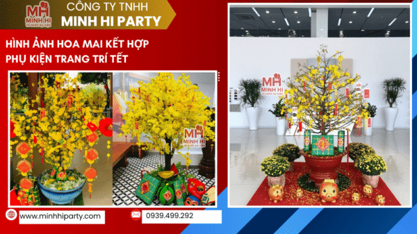 Hoa mai kết hợp phụ kiện trang trí tết