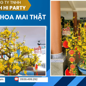 Dịch vụ cho thuê mai tết giá rẻ tại HCM