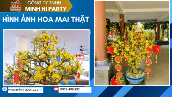 Dịch vụ cho thuê mai tết giá rẻ tại HCM