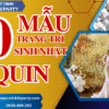 20 mẫu trang trí sinh nhật sequin đẹp lấp lánh