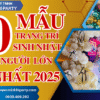 Minh Hi Party giới thiệu 50 mẫu trang trí sinh nhật người lớn đẹp nhất 2025