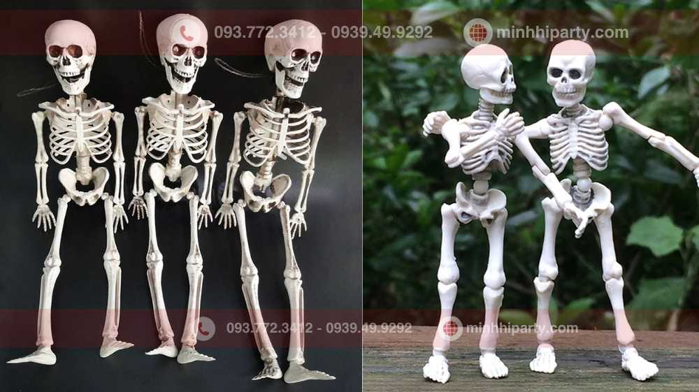 đầu lâu và bộ xương trang trí halloween