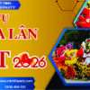 dịch vụ múa lân tết 2026 - Minh Hi Party