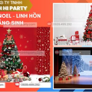 Cây thông noel linh hồn của mùa giáng sinh 2025