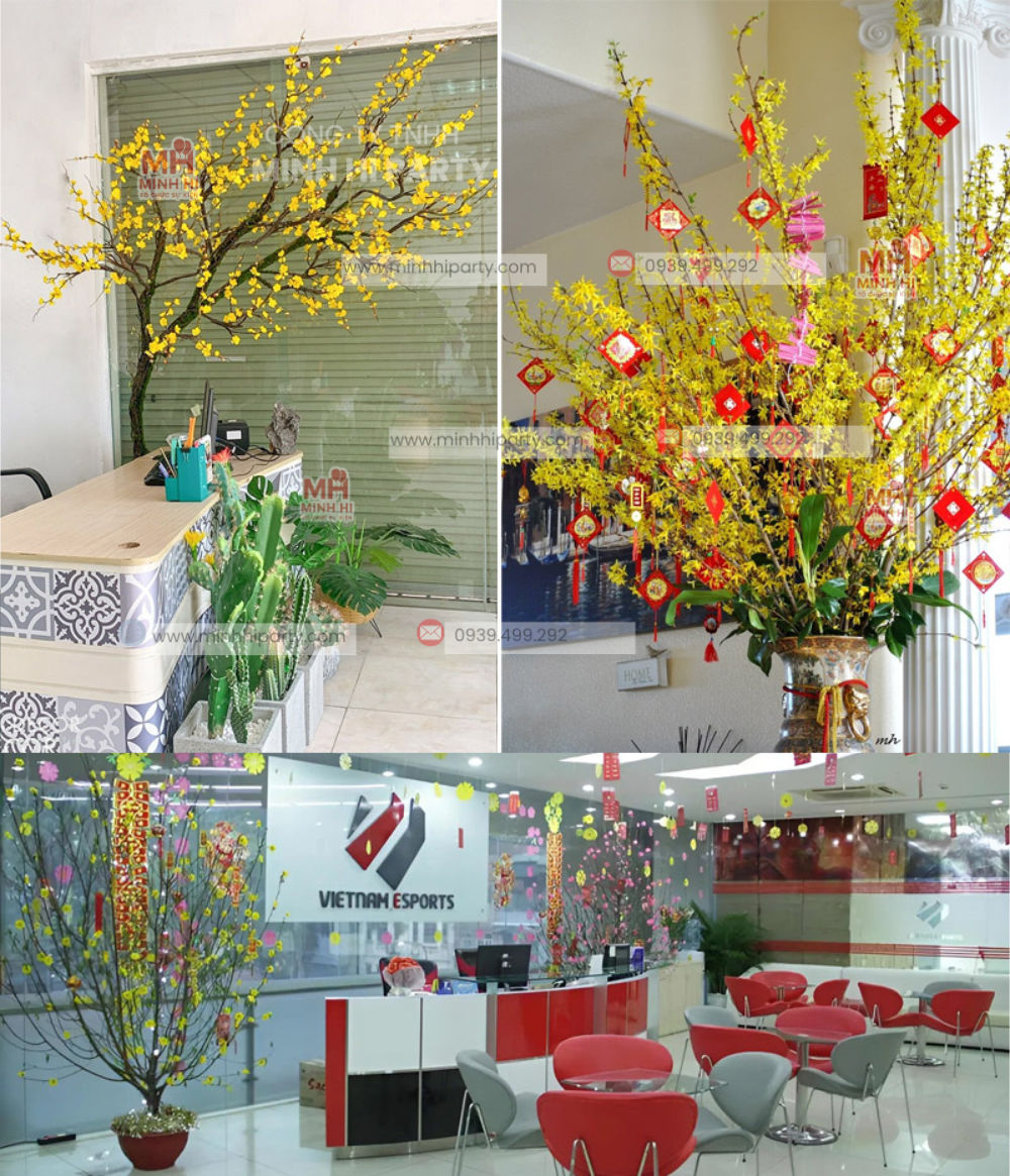 Trang trí tết văn phòng đẹp - Minh Hi Party