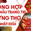 Tổng hợp các mẫu trang trí mừng thọ đẹp nhất 2026
