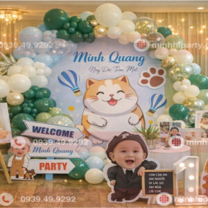 Trang trí thôi nôi bé trai chủ đề phim hoạt hình cho thôi nôi bé tuổi rắn