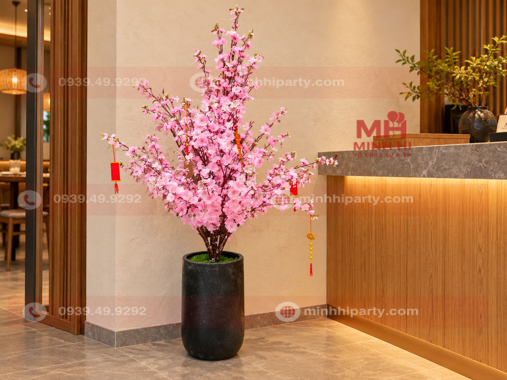 Đào cành trong chậu tại nhà hàng