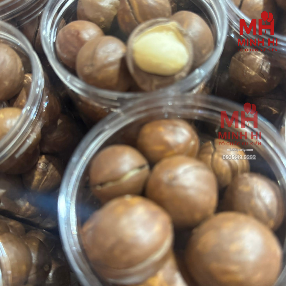 hat macca dinh duong lam dong farm go hat macca dinh duong lam dong farm go